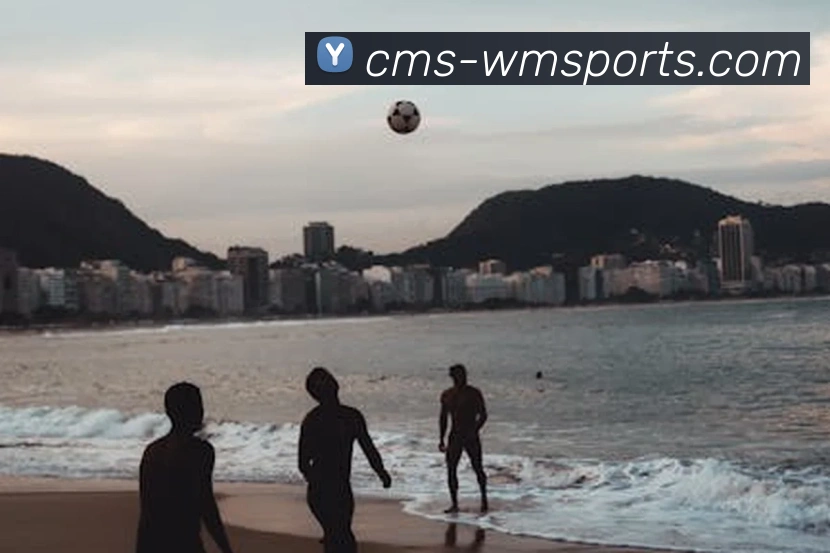 完美体育官网发展历程